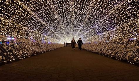 tokyo mega illumination|Tokyo Mega Illumination, Mid Nov–Early Jan 2025, 2024.